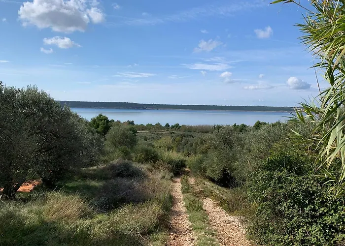 App 4 - 6 Persons Direct On The Seaside, 1st Floor